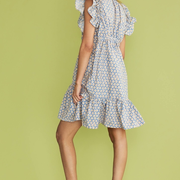 Anthropologie Floral Ruffle Sleeve Dress - Blue and White - Picture 3 of 9